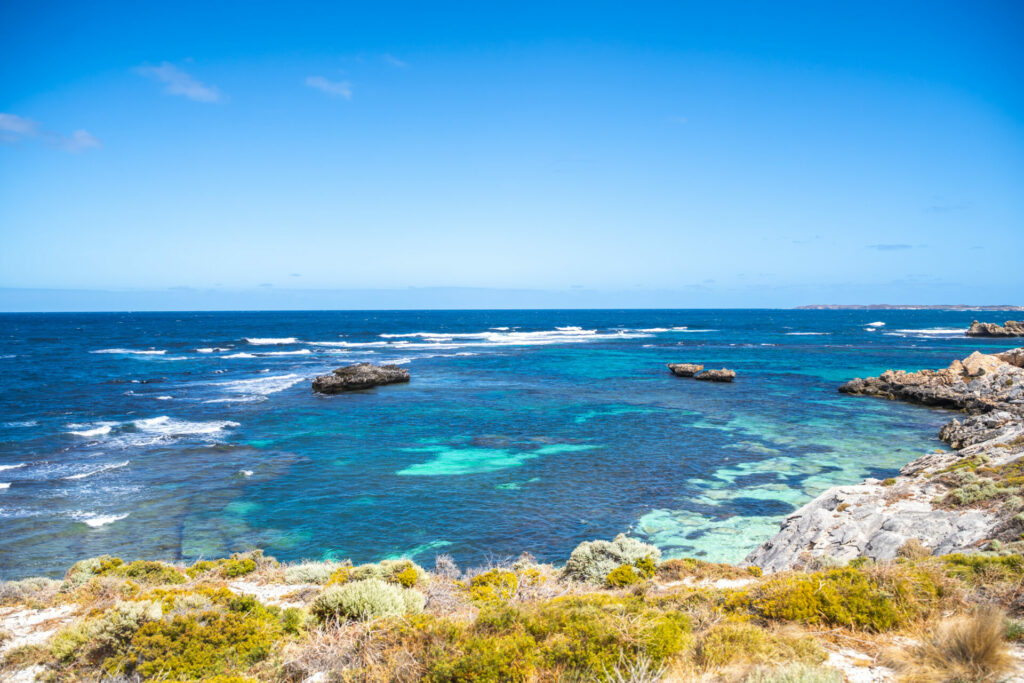 Rottnest island