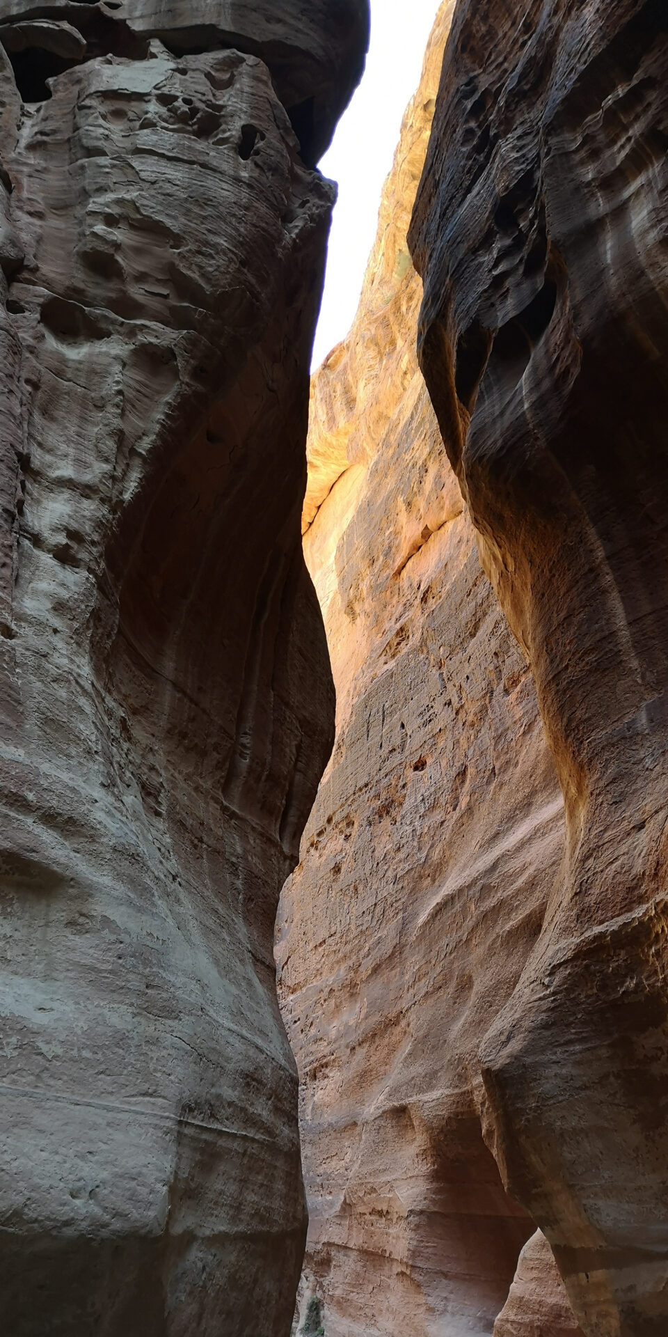 Petra Jordanie Siq