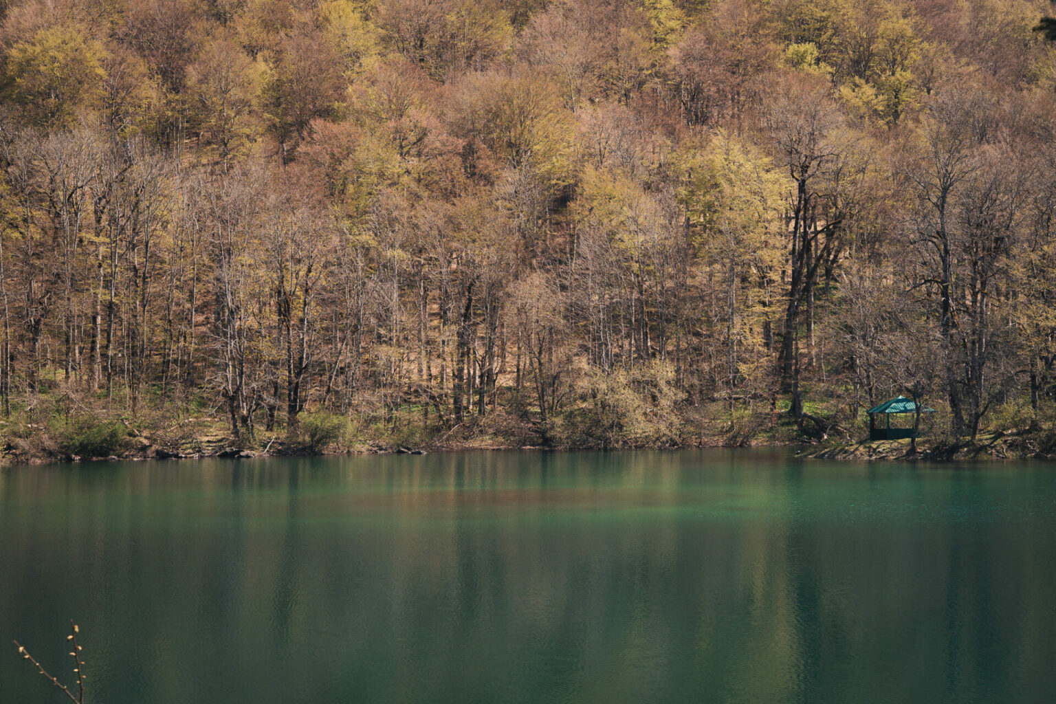 Lac Biograd à Biogradska Gora