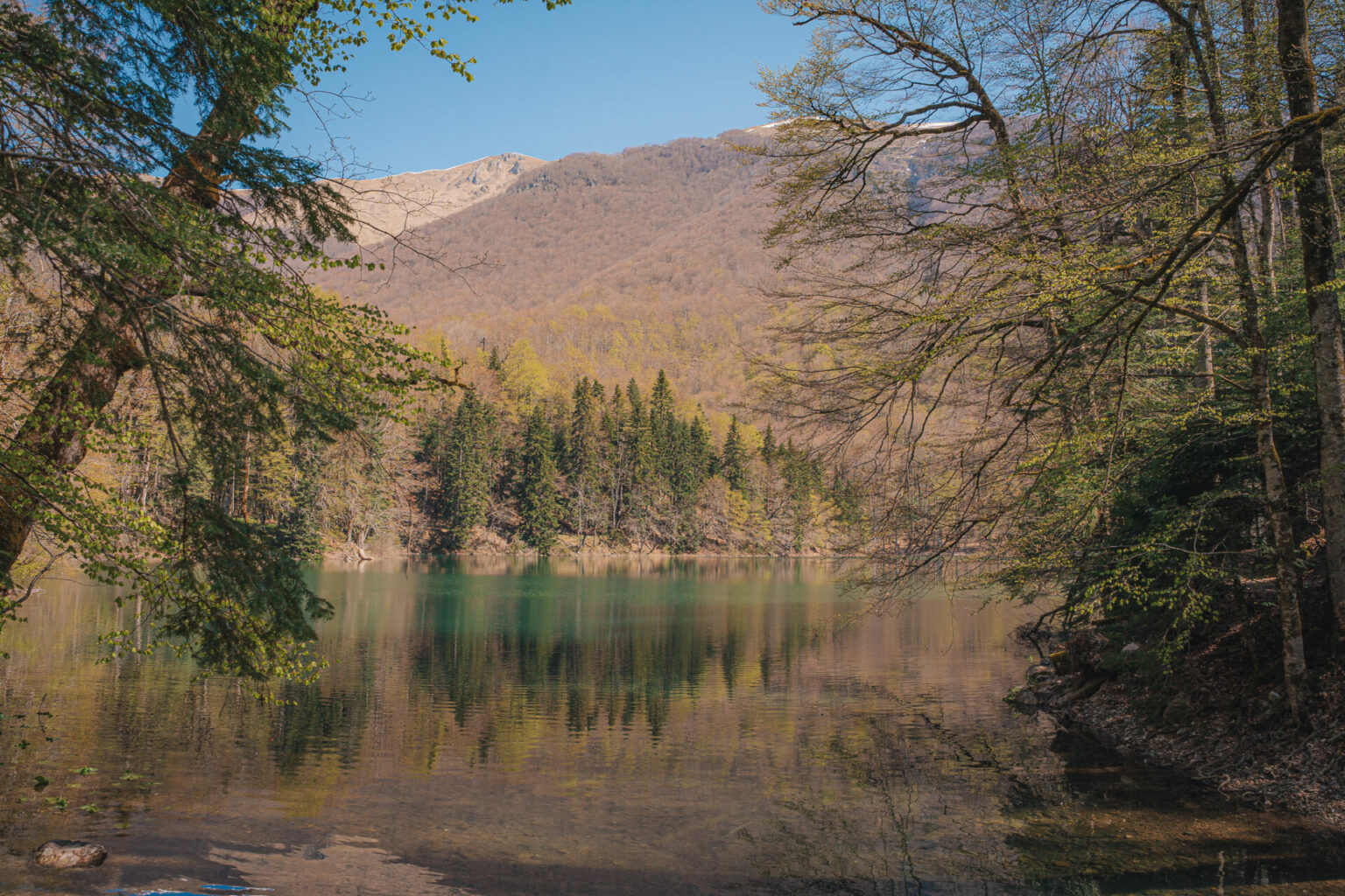 Lac Biograd à Biogradska Gora