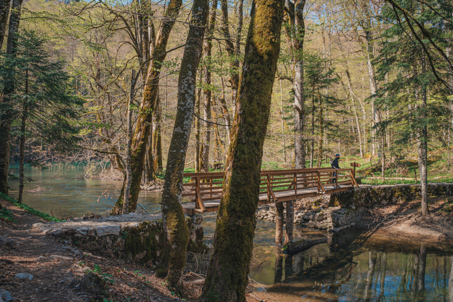 Lac Biograd à Biogradska Gora