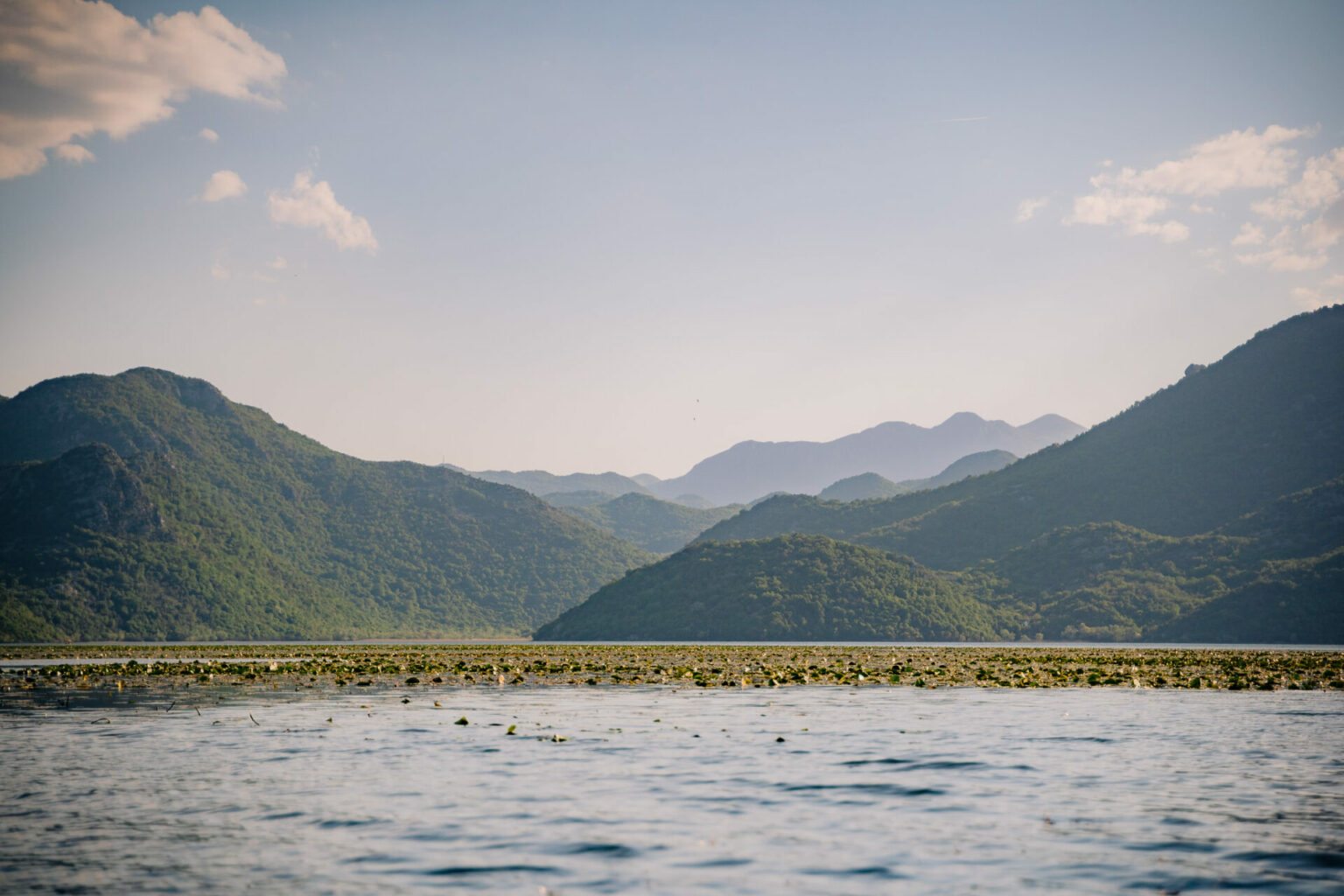 Croisière au lac Skadar