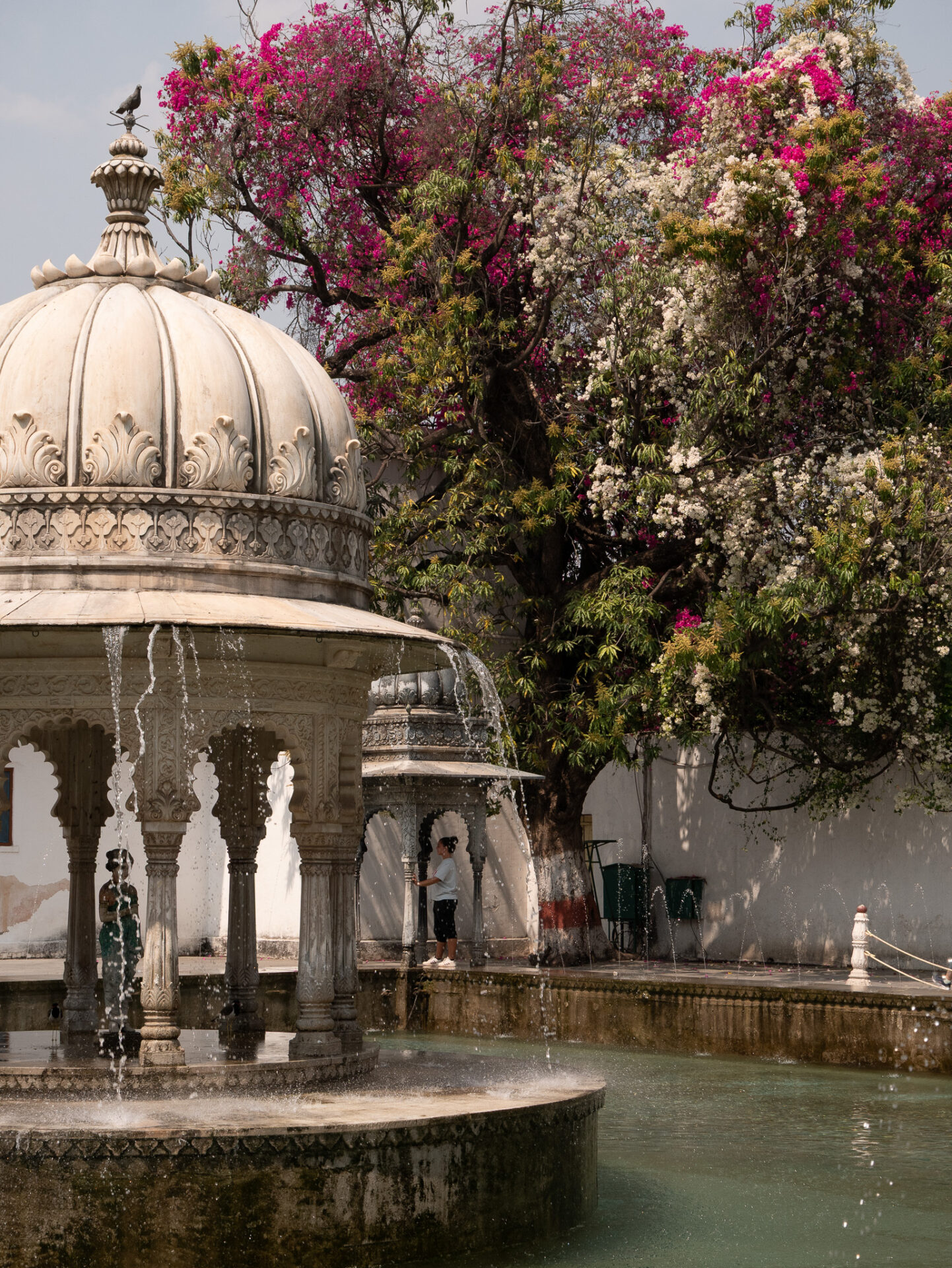 le parc botanique Udaipur