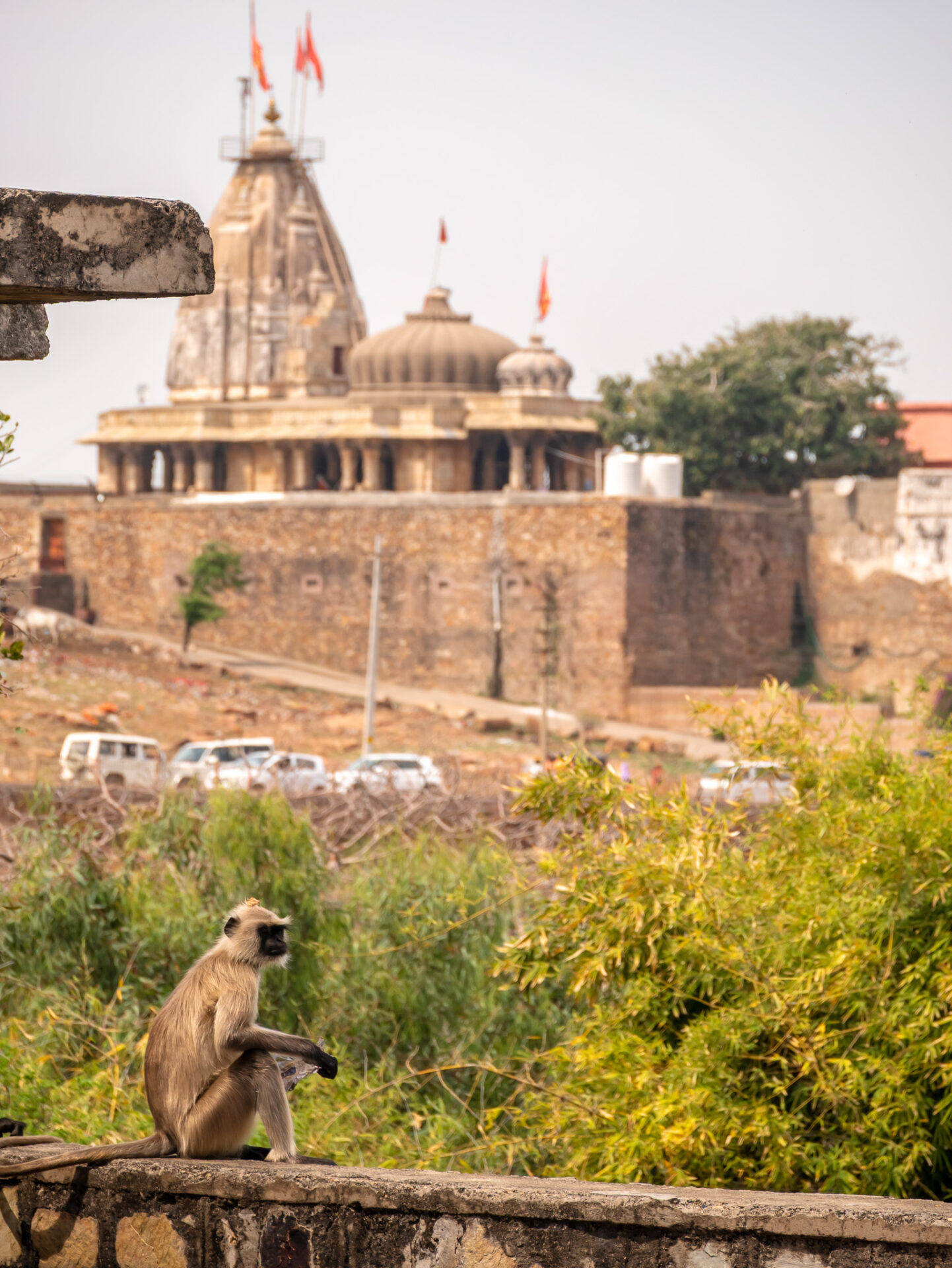 Visiter Chittorgarh