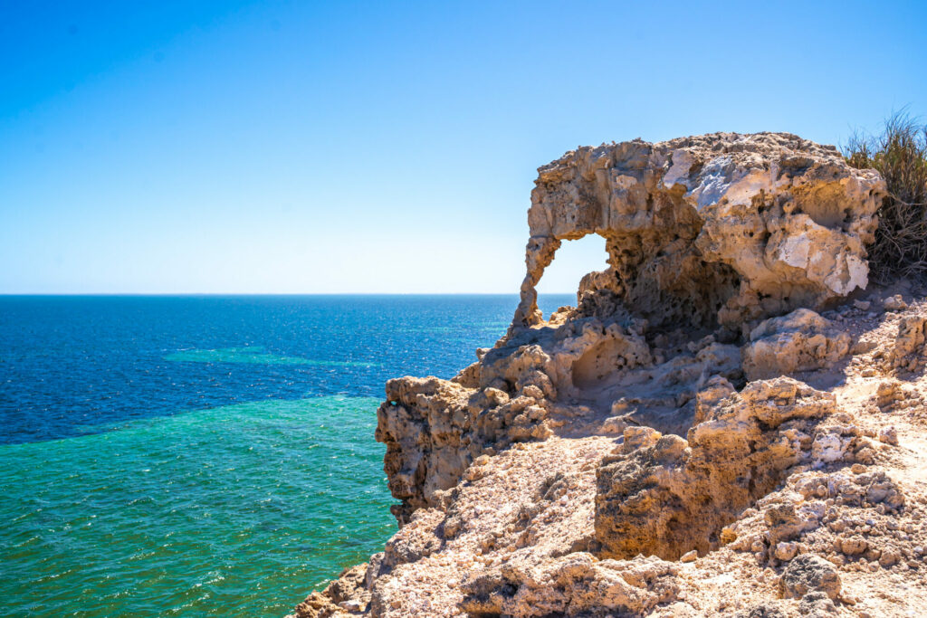 Elephant Rock à Eagle Bluff