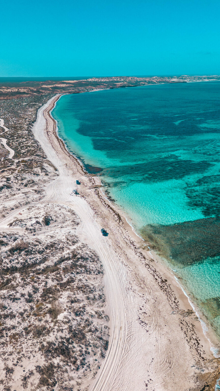 Coral bay Five fingers