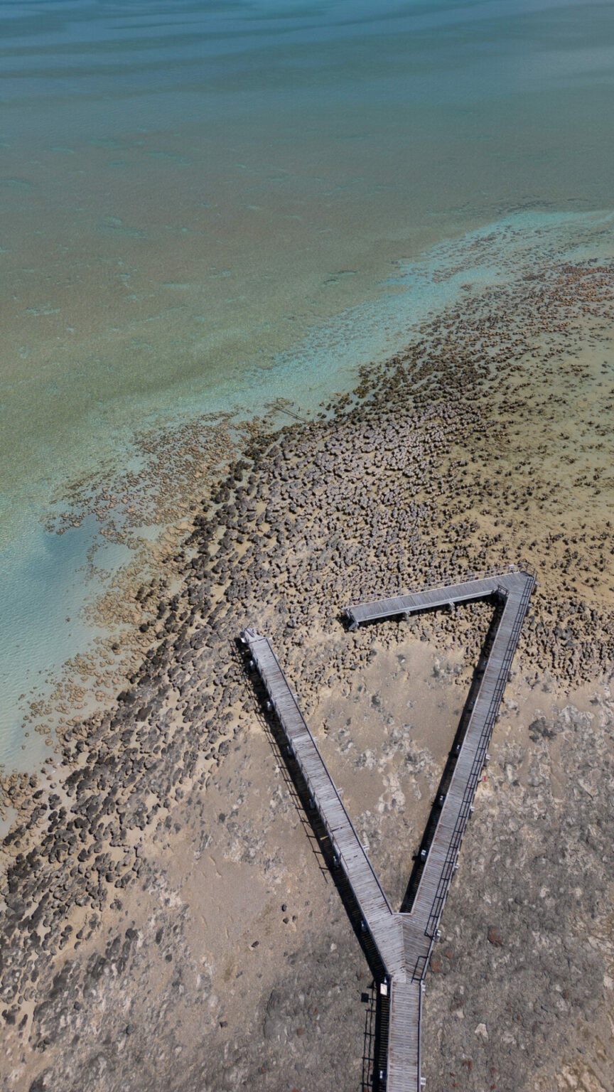 Hamelin pool Western Australia