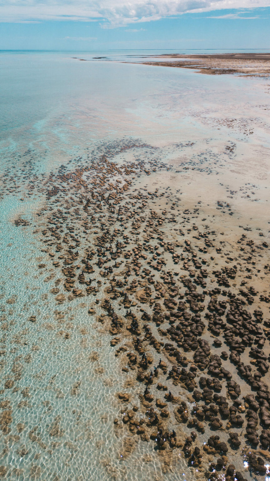 Hamelin pool Western Australia